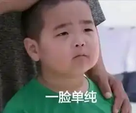 取出硅胶,去掉欧式大眼皮,网红鼻祖李小璐现在还能看吗
