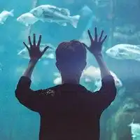 男孩单身动漫图片带字伤感微信头像图片大全
