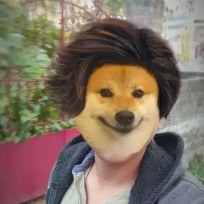 谢谢你cheems

