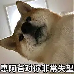 养狗有什么不好的地方hǎoxiangtǐngduōde丨每日午间报

