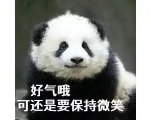 综合
