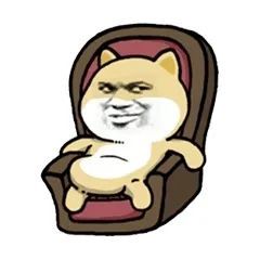 高思老师才是戏精界的扛把子,没人反驳吧
