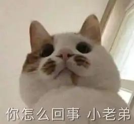 为各位铲屎官省钱,我们是认真的
