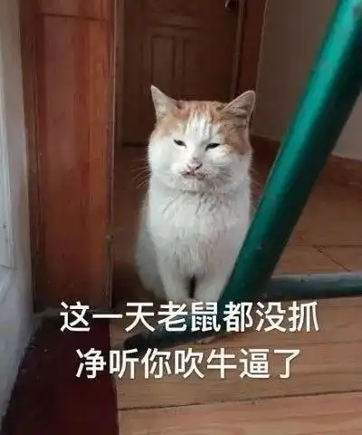 表情包有些人就是死皮不要脸
