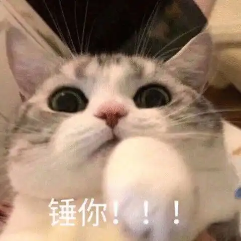 热门表情包图片妹妹,你知道我对你很好奇吗
