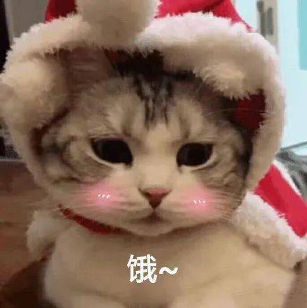 暑假肥宅生活不这个假期里要做更好的自我
