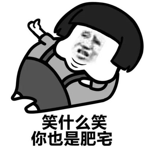 肥宅快乐水是什么梗
