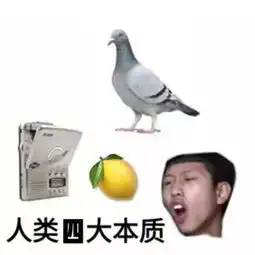 最近很多人都在发一个柠檬的表情,是什么意思
