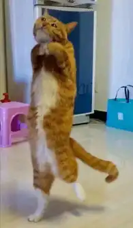 那些沙雕微信好友们......小肚子都笑没了
