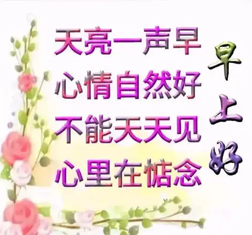 只有看开了,想通了,才能随缘随性随心而为,不急不躁
