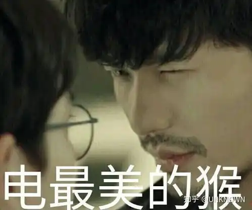 朱一龙和白宇有哪些表情包

