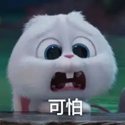 萌萌哒小白
