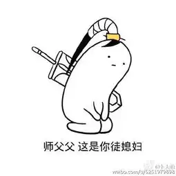 小白叽必备表情包师父我被人怼了
