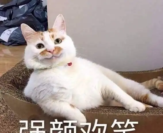 跟随易路荣昕的脚步,一起看看她家踩的那些网红坑
