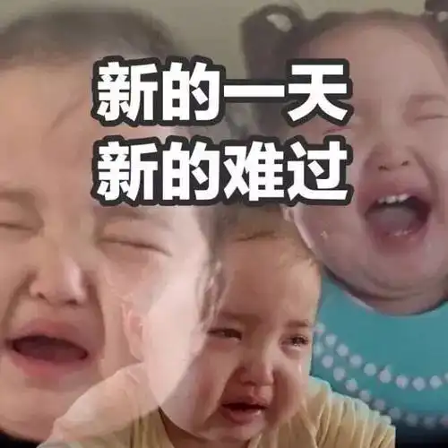 能拯救中国这届三百万孤寡青年的,就只有表情包了
