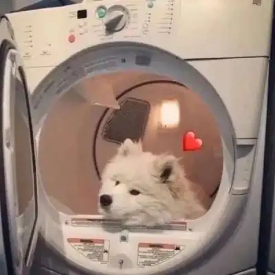 搞怪情头
