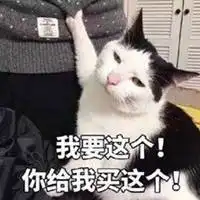 我要买这个表情包微信头像图片大全
