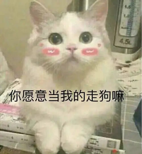 有好喝的豆奶安利吗
