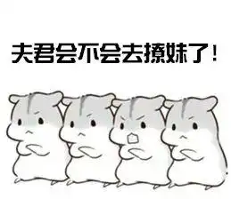 仓鼠夫妻
