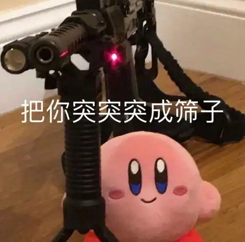 表情包莫负少年时
