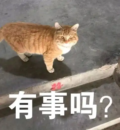 沙雕表情包动物头
