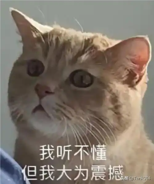 大一体育生进中信建投做ipo研学网友3000点的原因找到了
