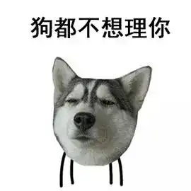 二哈搞笑表情大集合,确认过表情,血统都很纯正
