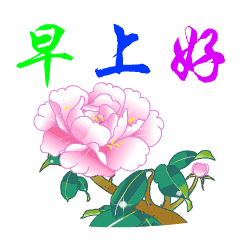 早安问候语的动图表情包早安心语动态图片句子
