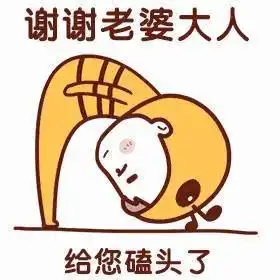 老公老婆日常聊天表情包,情侣必备
