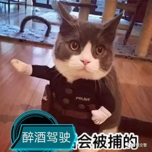 屡教不改,舞钢醉驾哥三次醉驾再被抓
