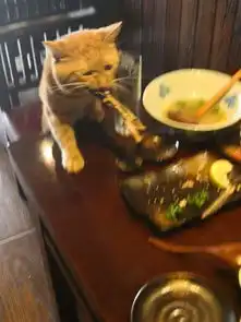 这猫猫太有礼貌了吧好不容易等到客人走,才开心把吃剩的鱼叼走
