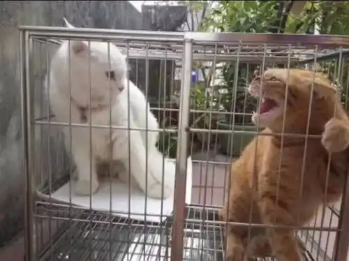 我的收藏
