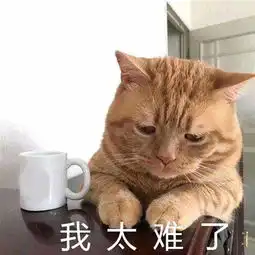 化妆品配方师必备硬核技能,你都有吗
