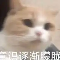 感觉自己像个傻子配图觉得自己很傻的图片

