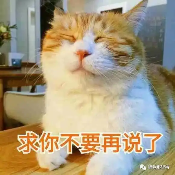 是时候给大家聊聊噬元兽橘猫这种神秘生物了

