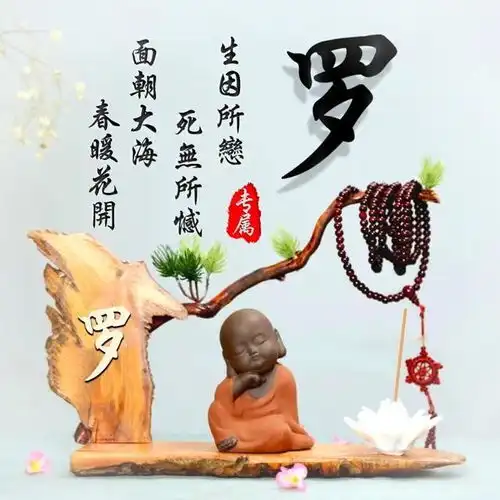 佛系小沙弥姓氏头像,微信头像,2020年新款,
