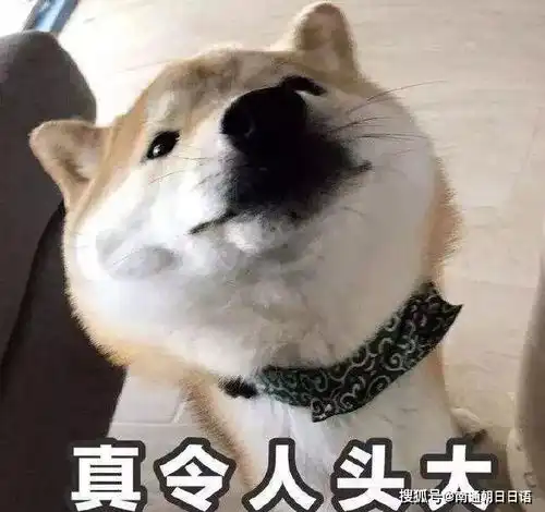 日语中的一词多义
