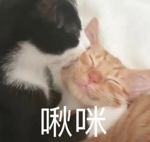 沙雕表情包l这是阳间的话
