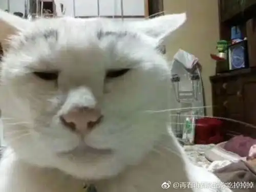 开学季小女孩不肯上幼儿园被爷爷用蛇皮袋背去
