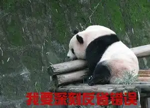 双十一倒计时就是剁双手也要狂欢一把

