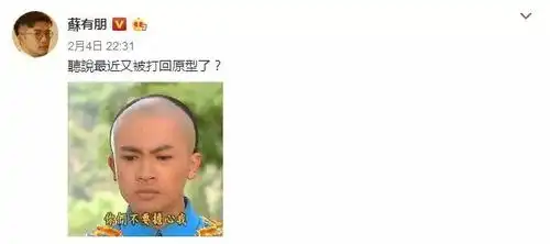 苏有朋把自己玩坏了
