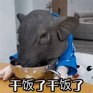 表情包日常搞笑表情,干饭了干饭了,一身肥肉
