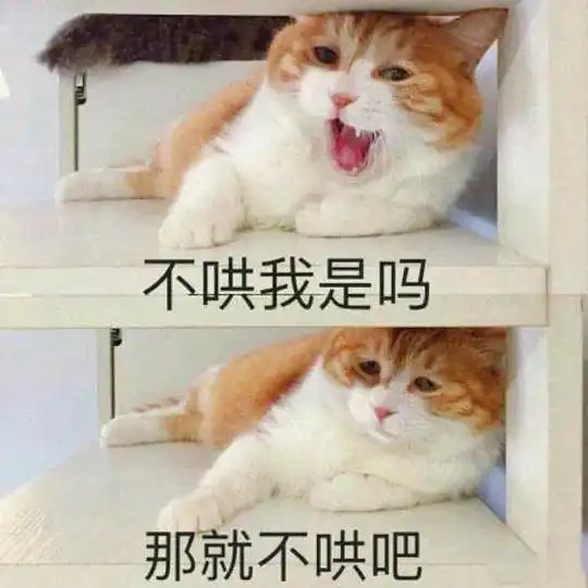 好运泡泡澡的相册沙雕表情包头像
