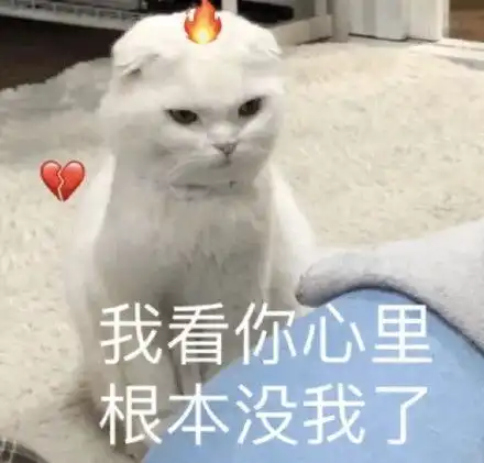 喵喵表情包丨人家就是不行,就是爱哭鬼
