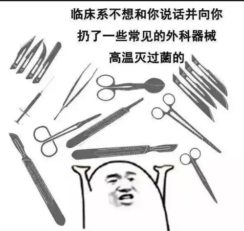 女孩子学医还是学法
