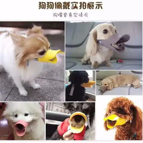 狗狗嘴套宠物用品狗口罩防咬防叫防乱吃中型小型犬嘴套泰迪鸭嘴套,一品好特惠
