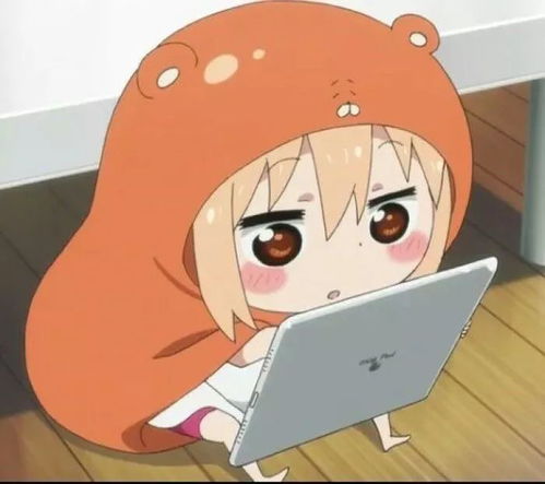 二次元肥宅
