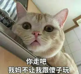 去日本,巴萨众星要参加活动
