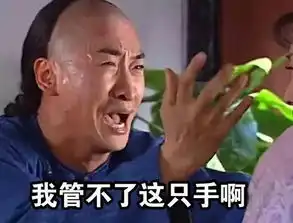 迪士尼再爆不文明行为游客烘干机烘脚丨上海城事
