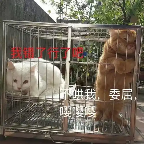 今天是易烊千玺18岁生日,众明星用抢热搜告诉他成年人的世界真的很复杂...
